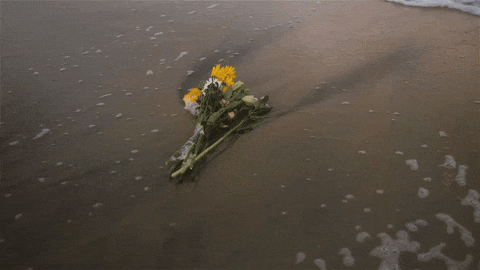 North Carolina Beach GIF by MaRynn Taylor