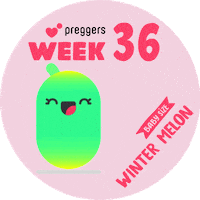 Baby Pregnancy Sticker by Preggers