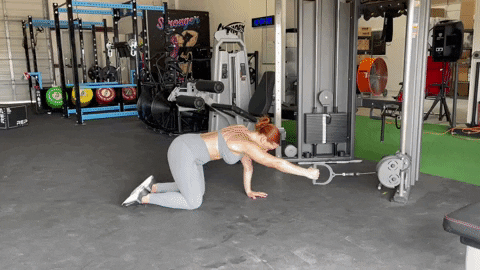 megsquats giphyupload GIF