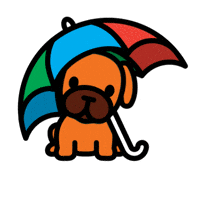 Try Again Next Time GIF