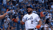Celebrate New York GIF by MLB