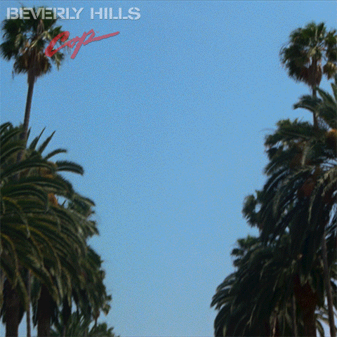 Eddie Murphy GIF by BeverlyHillsCop