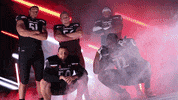 University Of Cincinnati Uc GIF by Cincinnati Bearcats