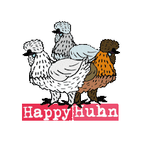 Chickens Silkies Sticker