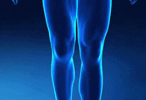 blondel66 giphygifmaker GIF