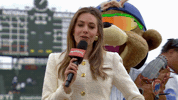 Chicago Cubs Hello GIF