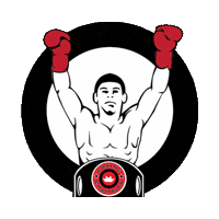 yogaplus_ph workout boxing flash champion Sticker