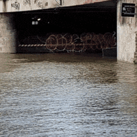 Paris Marathon GIF by Amaury Sport Organisation