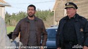 Jesse Metcalfe Shock GIF by Hallmark Mystery
