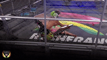 GIF by Lucha Libre AAA