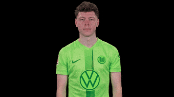 Fail Go Home GIF by VfL Wolfsburg