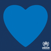 Human Rights Solidarity GIF by UNHCR, the UN Refugee Agency