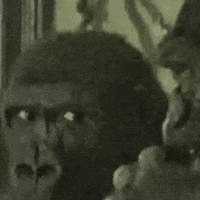 Suspicious Side Eye GIF