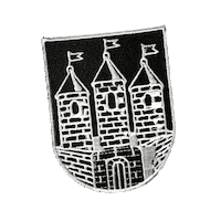 Carnaval Kruikenstad Sticker by Ollie's