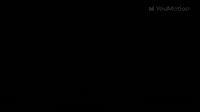Cartoon Animals Logo