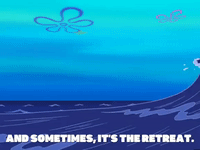 season 6 GIF by SpongeBob SquarePants