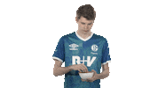 Ea Sports Fifa Sticker by Bundesliga