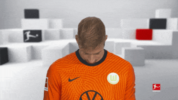 Vfl Wolfsburg Smile GIF by Bundesliga