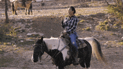 love & hip hop horse riding GIF by VH1