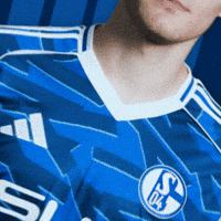 Football Soccer GIF by FC Schalke 04