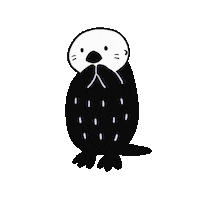 Dance Seal Sticker