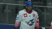 Del Mannheim GIF by Champions Hockey League