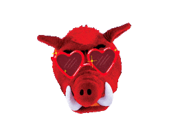 Arkansas Razorbacks Valentines Sticker by Arkansas Alumni Association