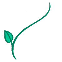 Flores Folhas Sticker by Nazca Cosméticos