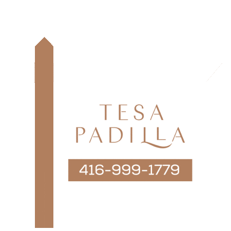 tesapadilla giphyupload tesa padilla Sticker