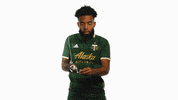 Portland Timbers Mls GIF by Timbers