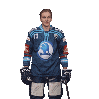 Hockey Hokej Sticker by HC Škoda Plzeň