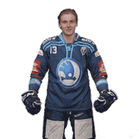 Hockey Thumbs Up Sticker by HC Škoda Plzeň