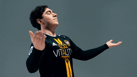 eu lcs vitality GIF by lolesports