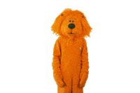 happy football Sticker by ING-DiBa Austria