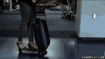scooter luggage GIF by Cheezburger