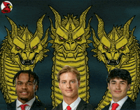 Illinois State Isu GIF