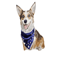 belluccimanila belluccimanila sundaethecorgi Sticker