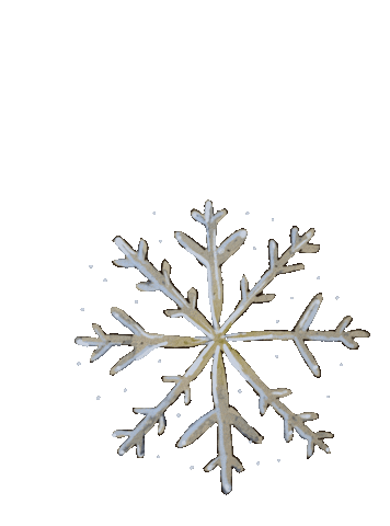 Snow Snowflake Sticker