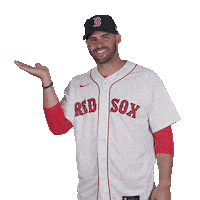 Red Sox Baseball Sticker by Boston Red Sox