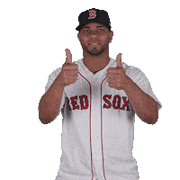 Red Sox Yes Sticker by Boston Red Sox