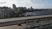 River Portland GIF by EDGARDUDE
