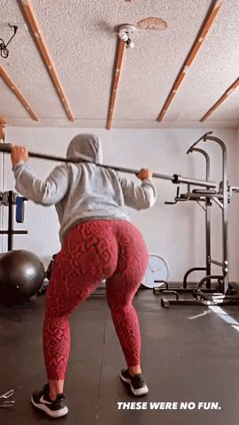 vilecoyote giphyupload GIF