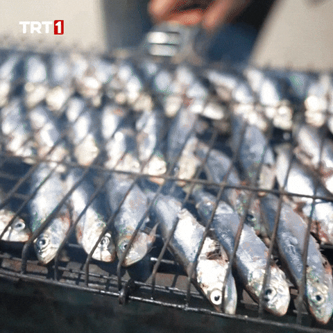 Fish Cooking GIF by TRT