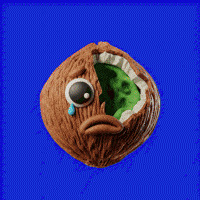Sad Coco GIF