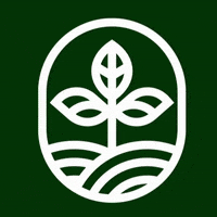 FazendasTerraViva verde plantas GIF