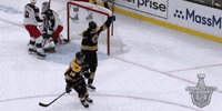 happy ice hockey GIF by NHL