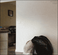 trashy GIF