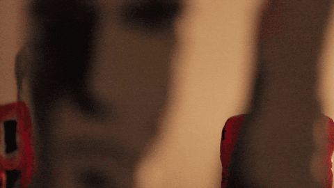 Hands Up GIF by Carl Knickerbocker