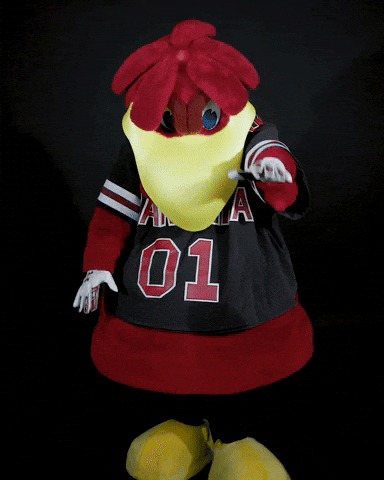 Dance Dancing GIF by University of South Carolina