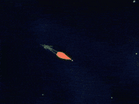 Green Onion Smile GIF